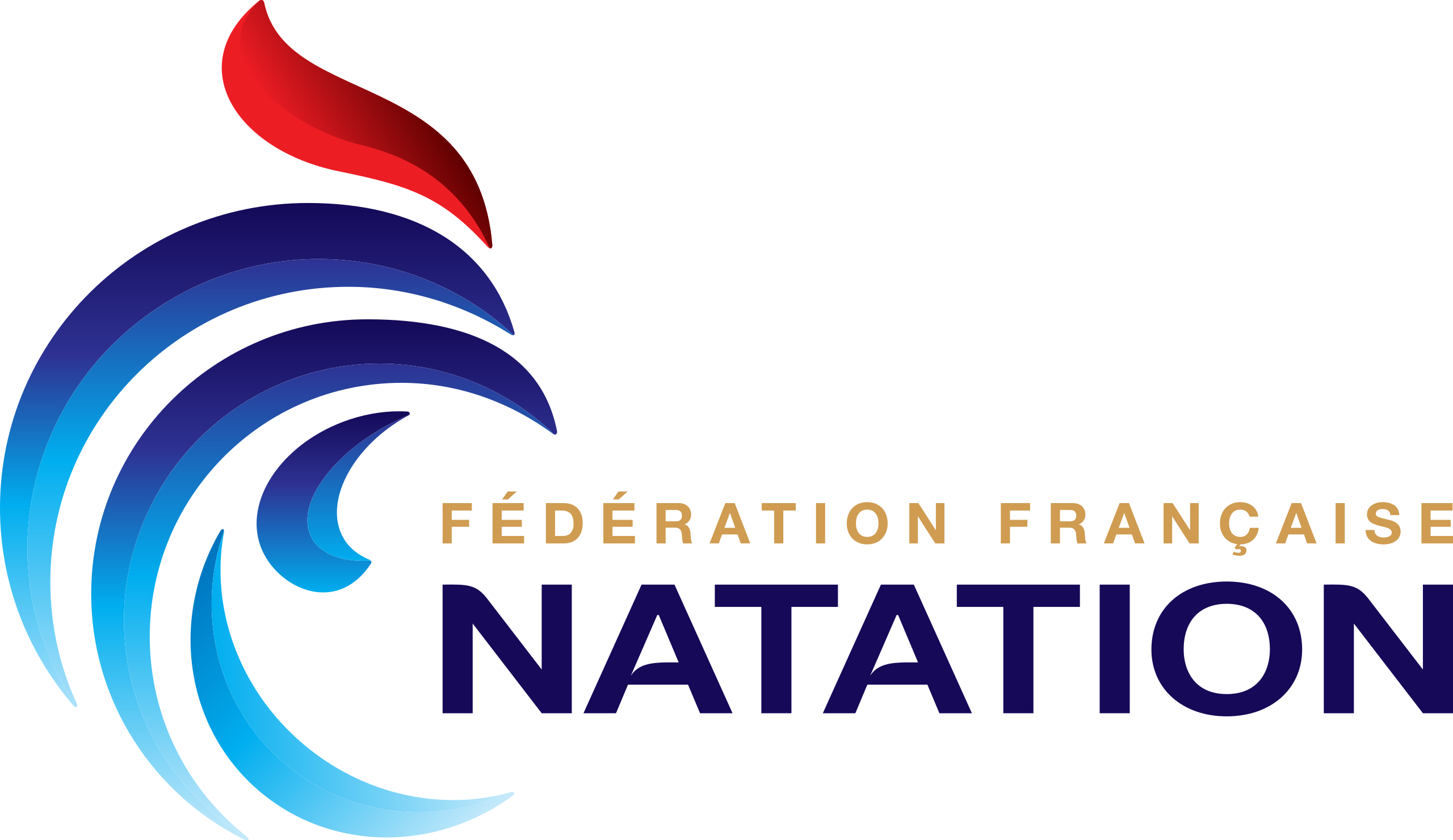 logo_federation_francaise_natation_-_2012.svg-1.png